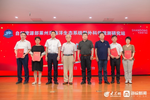泉港新闻网门户网泉港新闻网，新闻资讯的海洋