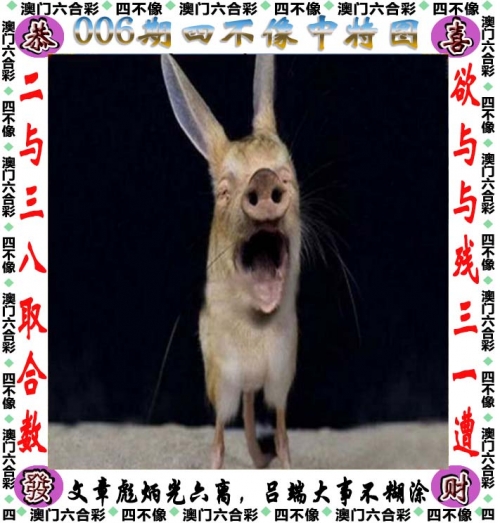 一肖中特免费资料公开选料体验一肖中特免费资料公开选料-第3张图片