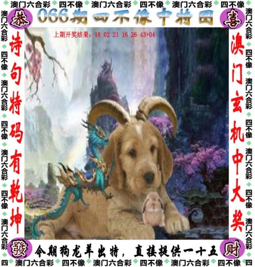 澳门一肖一码一必开一肖特澳门一肖一码一必开，一肖开启新篇章