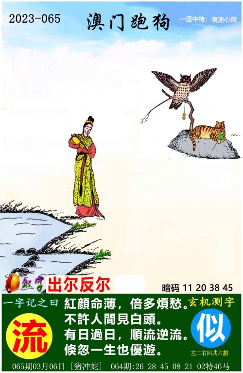 王中王论坛，揭秘最新优惠信息-第2张图片
