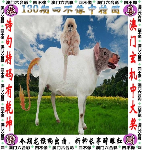 二四六天天好彩精选资料大全二四六天天好彩精选资料大全
