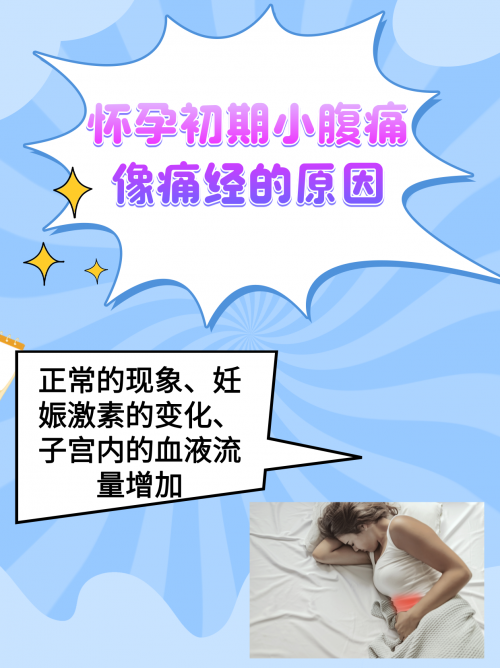 新宝宝乐园新宝宝乐园，孕育新生命的乐园-第2张图片