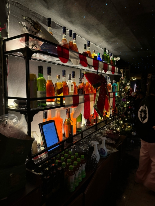 夜生活论坛，探索城市夜生活的新窗口