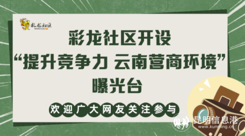 彩资料论坛彩龙论坛，探索网络交流的新天地