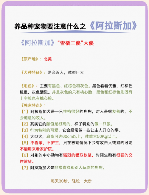 小狼狗心水论坛，探索犬类爱好者的乐园