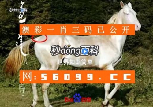 香港一肖一码100%准333192香港一肖一码100%准，揭秘准确预测的神秘力量-第3张图片