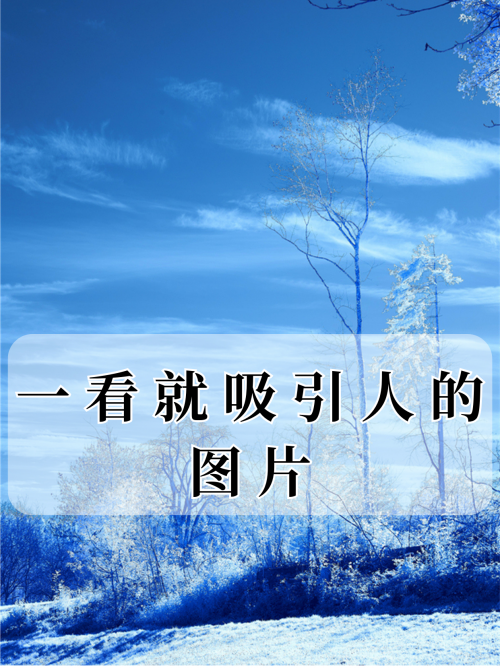 49图库49.tkcom49探索49图库，探索无限创意与视觉盛宴