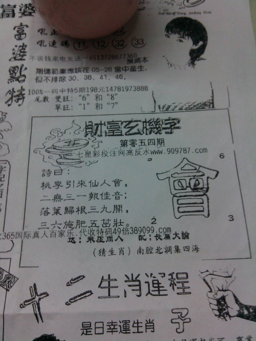 今日特马，探索与发现-第1张图片