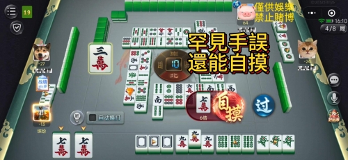 买马资料买马资料，策略与技巧-第1张图片