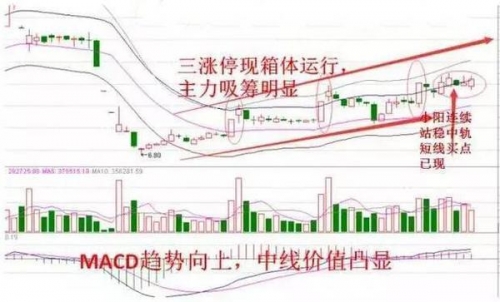 新奥天天开内部资料，揭秘公司发展新动态
