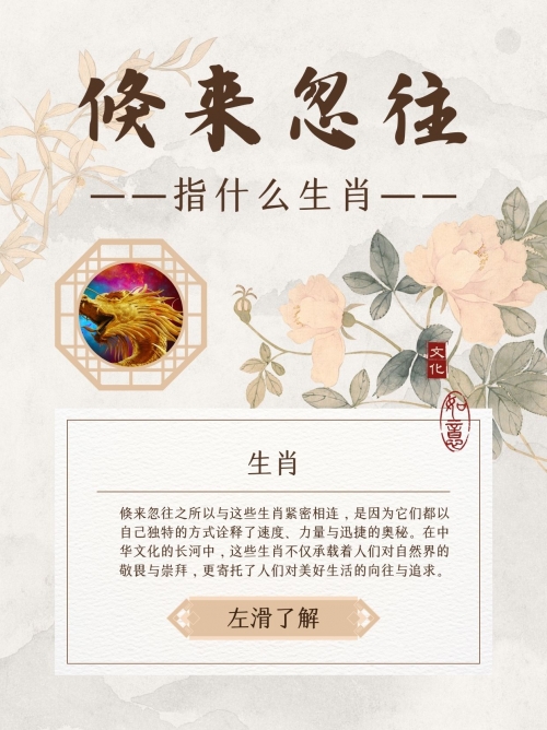 二八追求五迟疑是什么生肖和数字二八追求五迟疑是什么生肖
