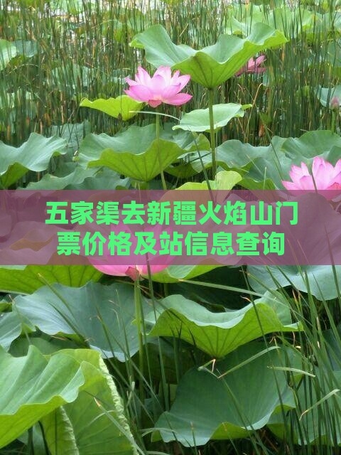 五家渠景点介绍-第1张图片