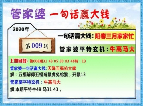 正版管家婆资料，高效管理工具的全面介绍