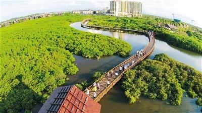 澄迈红树湾澄迈红树湾，自然与人文的完美融合-第1张图片