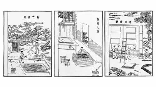 万料堂总论坛万料堂，汇聚智慧与材料的殿堂