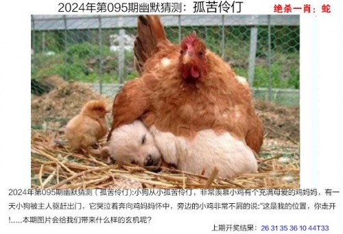 管家婆一句话中玄机管家婆一句话玄机图-第2张图片