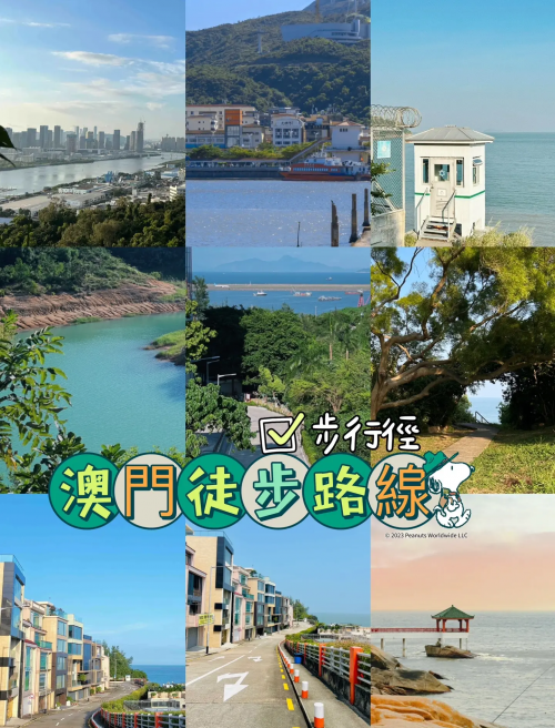 2023澳门资料免费看，探索澳门的历史文化与旅游资源