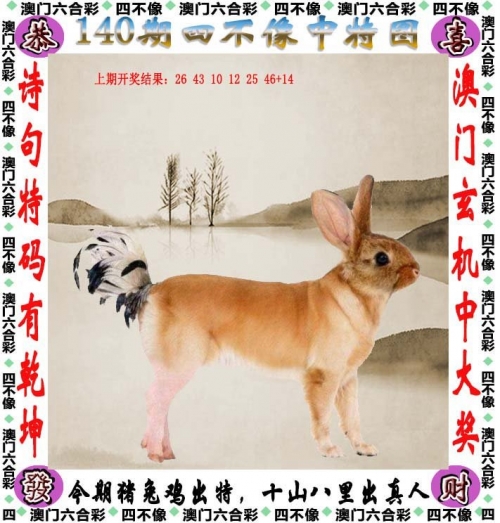 开奖特马料开奖特马料，揭秘神秘大奖的背后