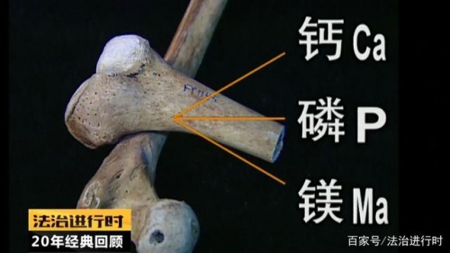 新东泰事件中挖出的人骨数量新东泰事件概述