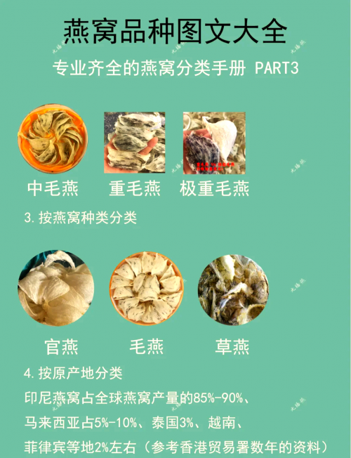金丝燕窝饮品多少钱一盒金丝燕窝，天然珍品的美妙之旅-第3张图片