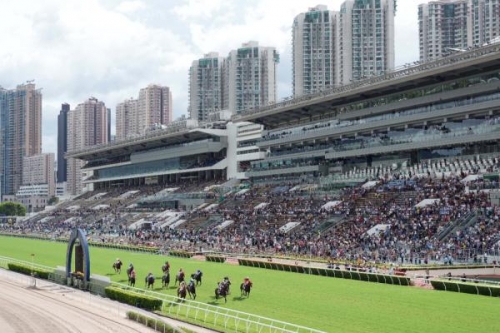 香港赛马协会香港赛马协会，引领香港赛马文化的新篇章-第1张图片