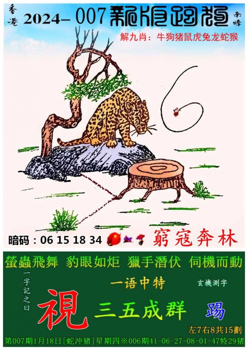 2025港六今晚开奖号码香港赛马会开奖结果揭晓，赛马爱好者们的期待与惊喜-第1张图片