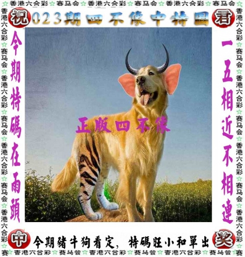 2025港六今晚开奖号码香港赛马会开奖结果揭晓，赛马爱好者们的期待与惊喜-第2张图片