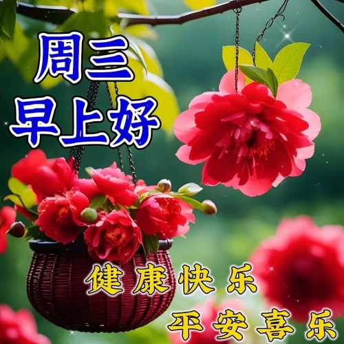 246天天好免费资料大全246天天好免费资料大全