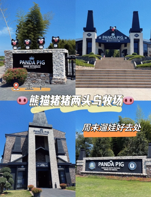 金华动物园游记-第2张图片