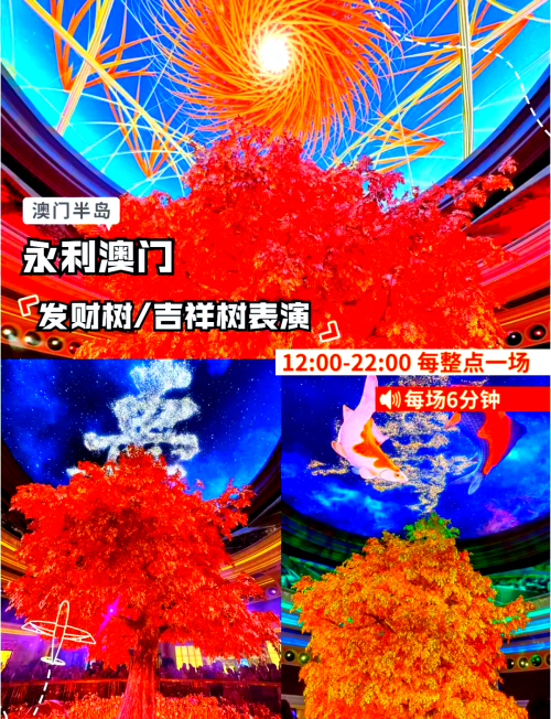 澳门开奖记录2024，回顾与展望-第1张图片