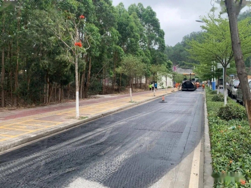 金榜路，辉煌之路