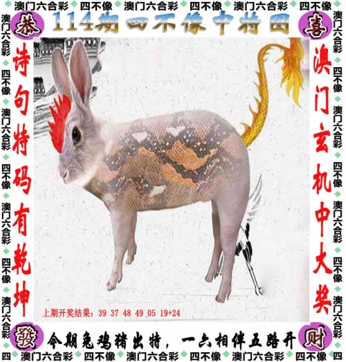管家婆精准期期选一肖香港，智慧生活新篇章-第2张图片