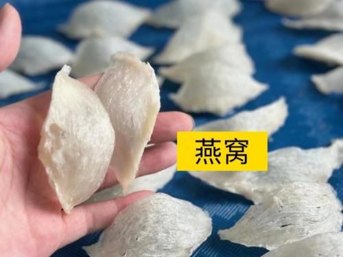金丝燕窝金丝燕窝，天然珍品的美妙之旅-第1张图片