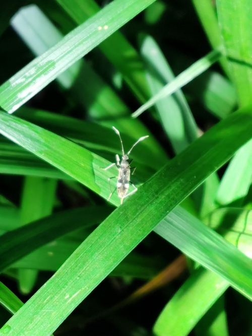 虫虫高手论坛资料中心虫虫高手论坛，探索网络社区的奇妙世界