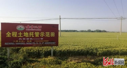 土地公论坛，探索土地资源与土地管理的智慧-第2张图片