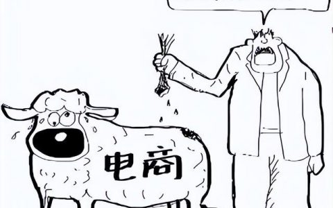金顺电商金顺网络，引领数字化新时代