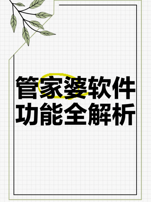 正版管家婆软件展望，2024年的选择与展望