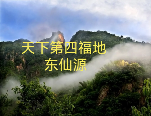 黄大仙论坛心水高手黄大仙心水论坛，探索心灵交流的圣地-第2张图片