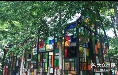 爱游网，探索网络旅游的新世界