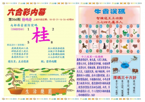 澳门一肖一码，准确率100%的神秘预测-第2张图片
