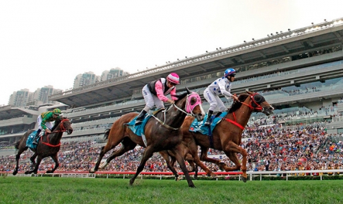 香港2021年马会资料2019香港马会全年资枓大全-第3张图片