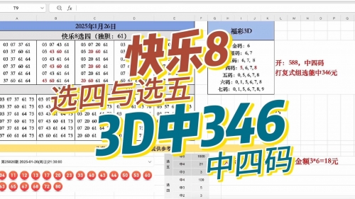三码三肖二肖3码，彩票投注的智慧与策略