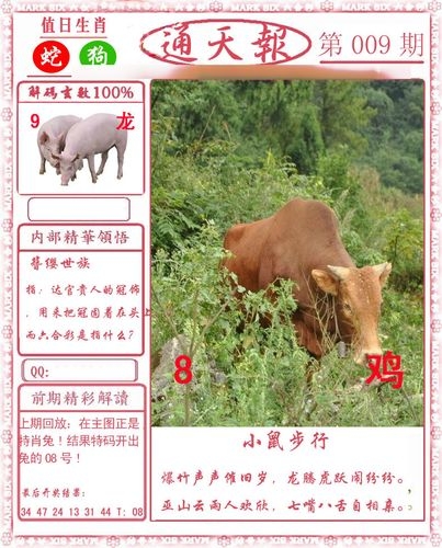 2023澳门免费资料大全100一2023澳门免费资料大全
