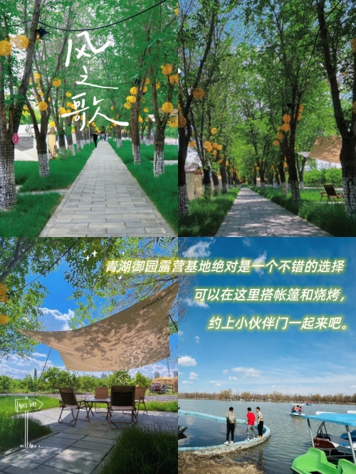 新疆五家渠，多元文化与美丽风景的融合-第2张图片