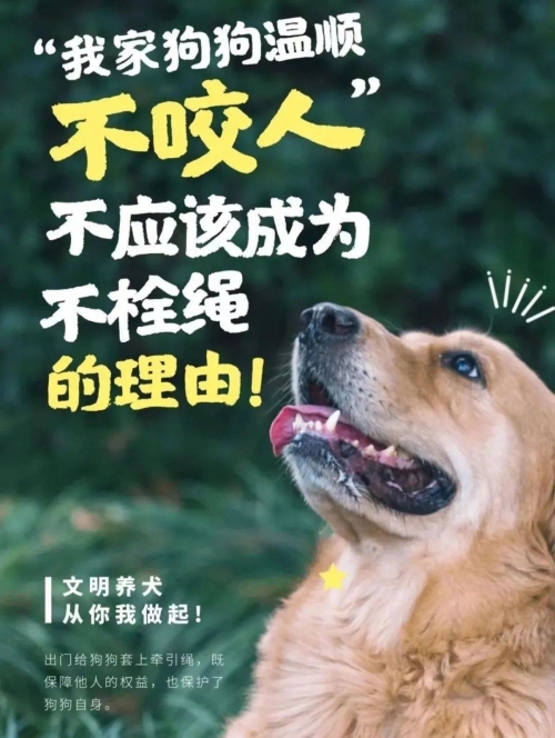 博狗网HAOBC，引领宠物行业的新篇章-第2张图片