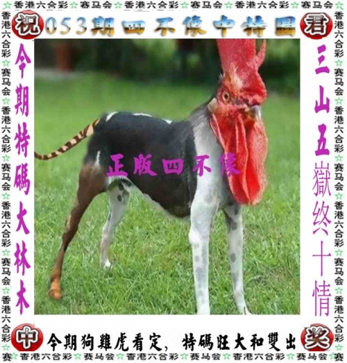 白小姐三肖三期必出开奖白小姐三肖三期必出开奖-第2张图片