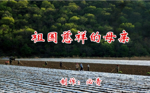 中国原创音乐基地伴奏网，音乐创作的黄金桥梁
