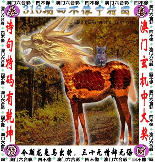 一码一肖期期公开特马一码一肖，中特之探索