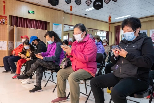 龙人网武汉话龙人网，探索数字时代的网络新篇章
