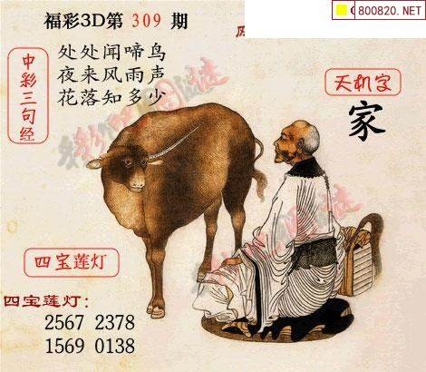 中国彩摘网3d图谜中国彩摘网，引领彩民新风尚